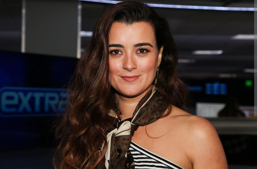 cote de pablo biography