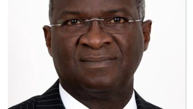 babatunde fashola biography